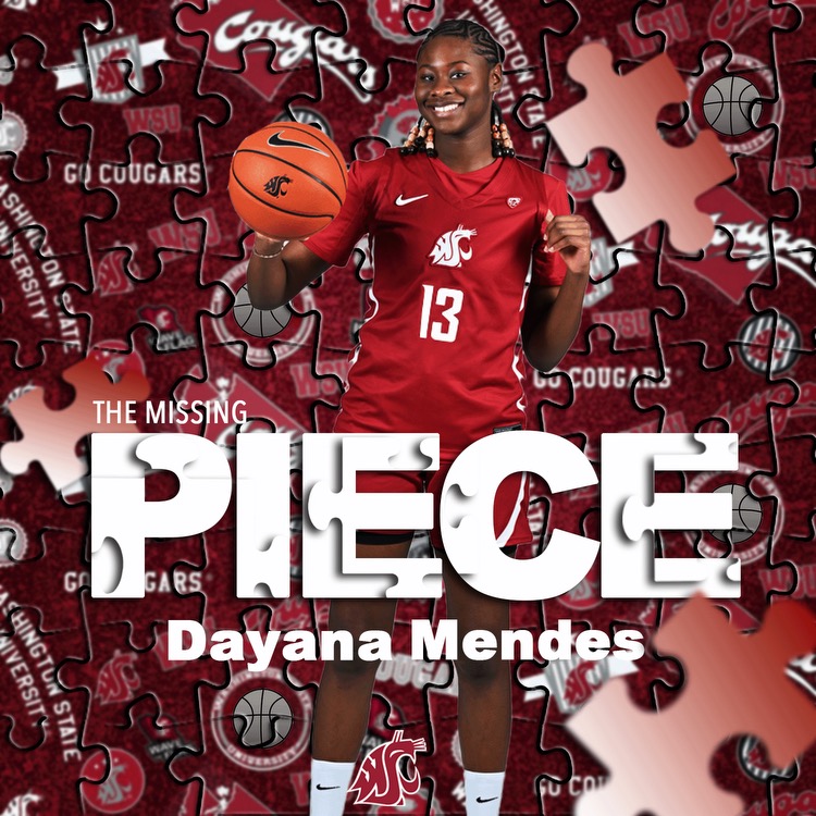 The Missing Piece — Dayana Mendes
